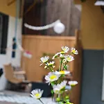 Lejlighed Vintage With Garden View *