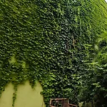 Lejlighed Vintage With Garden View