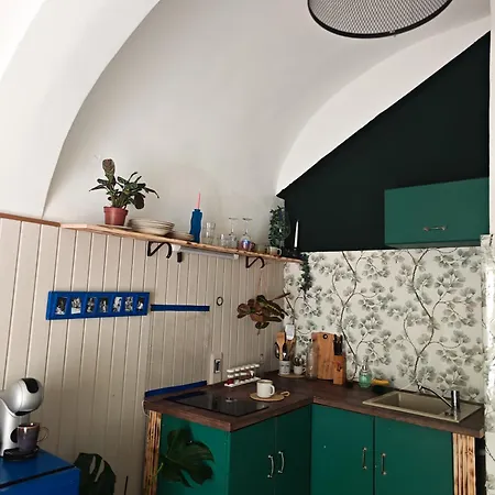 Vintage With Garden View Apartament