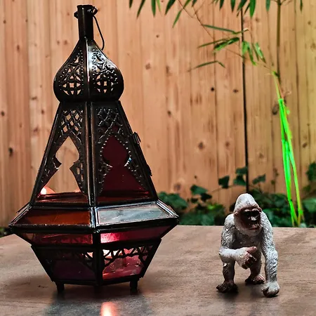 Apartamento Vintage With Garden View