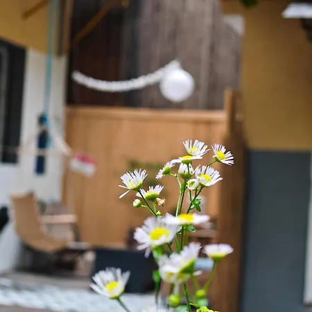Appartamento Vintage With Garden View *
