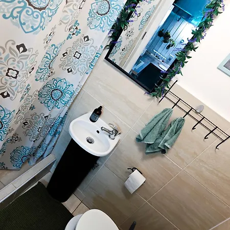 Apartament Vintage With Garden View *
