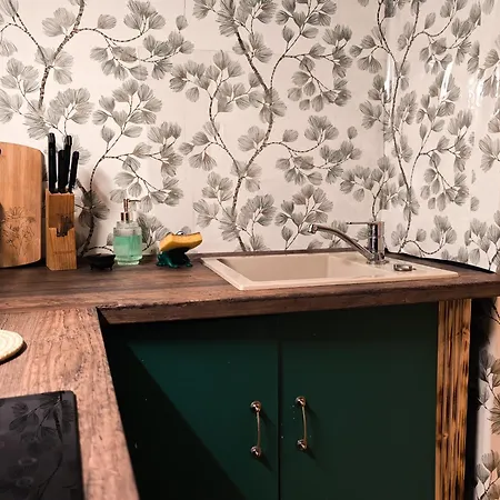 Vintage With Garden View Apartament *