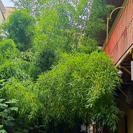 Vintage With Garden View Bratislava