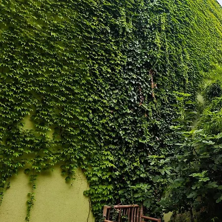 Appartamento Vintage With Garden View