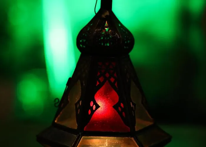 Vintage With Garden View Appartement