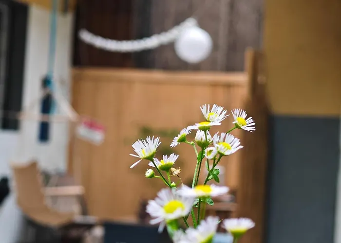 Apartament Vintage With Garden View *