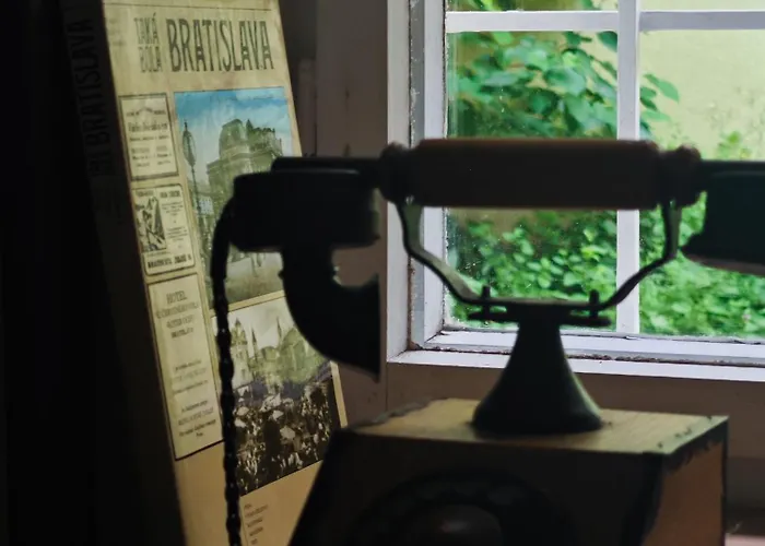 Vintage With Garden View *