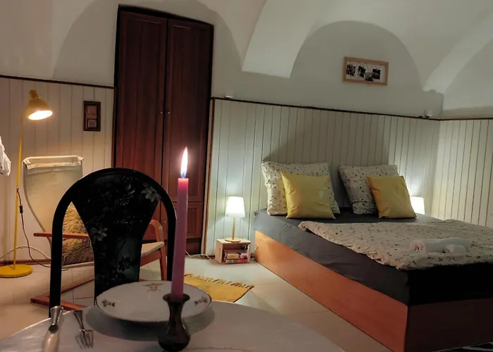 Vintage With Garden View Appartement