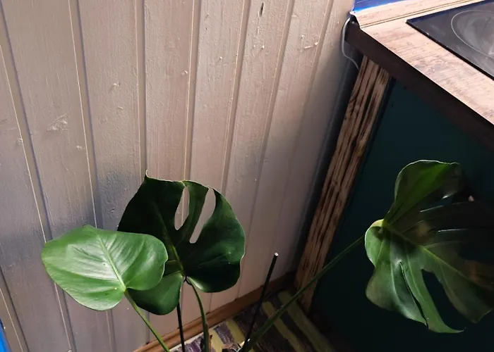 Appartement Vintage With Garden View