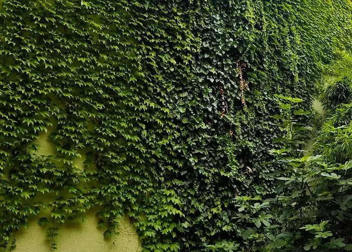 Appartement Vintage With Garden View