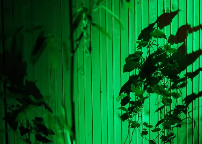 Vintage With Garden View * Bratislava