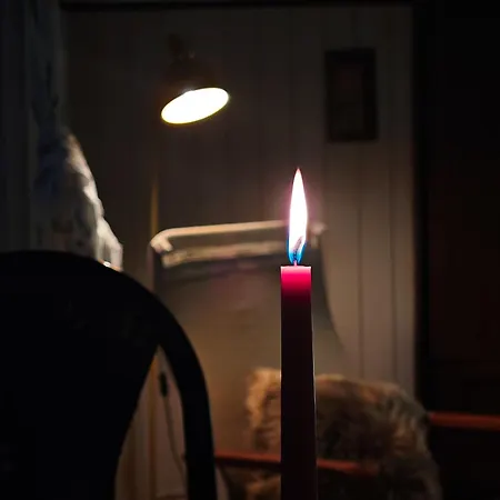 Vintage With Garden View *