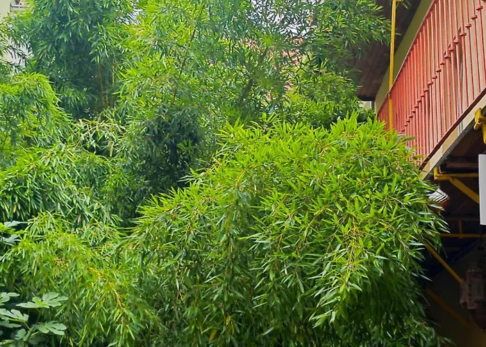 Vintage With Garden View Bratislava