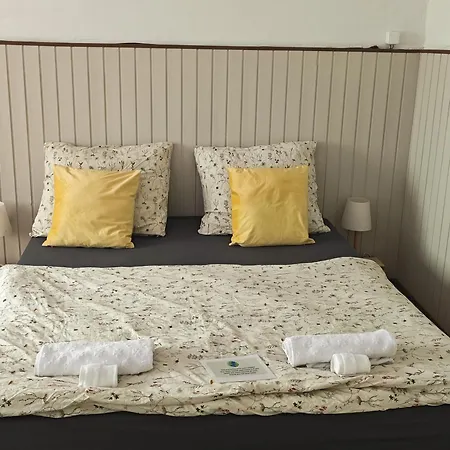 Vintage With Garden View Appartamento *