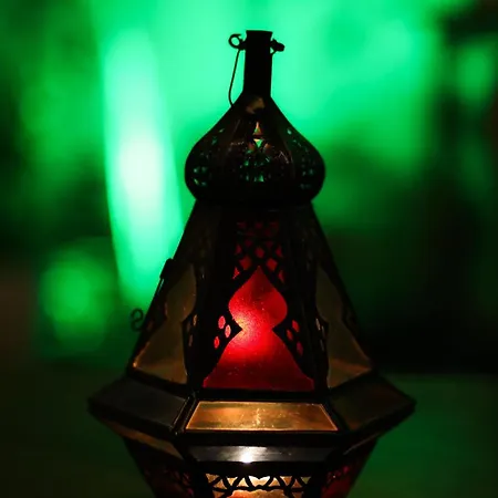 Vintage With Garden View Appartamento